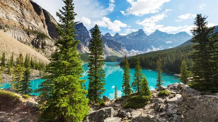 智能系统创新节能